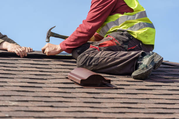 Best Shingle Roofing Installation  in Winlock, WA