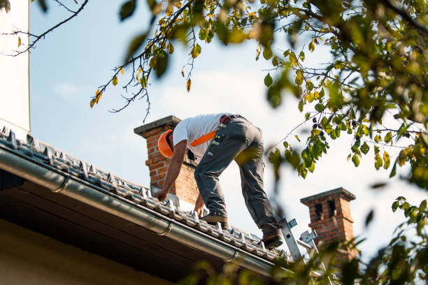 Best Local Roofing Companies  in Winlock, WA