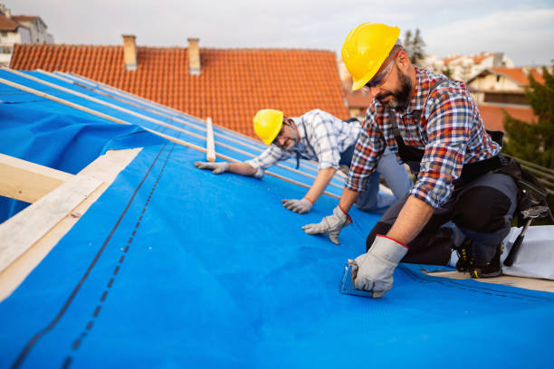 Best Roof Repair Services  in Winlock, WA