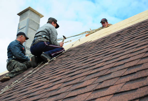 Best Roof Gutter Cleaning  in Winlock, WA